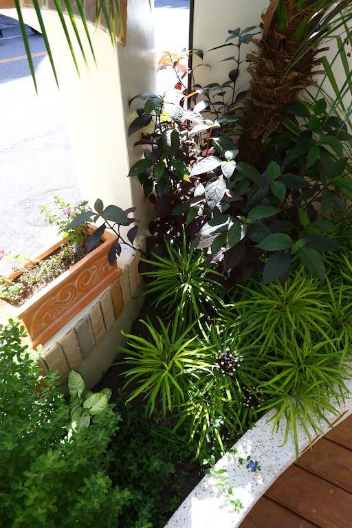 花莲市璞拉漫ㄚ玛公寓 外观 照片